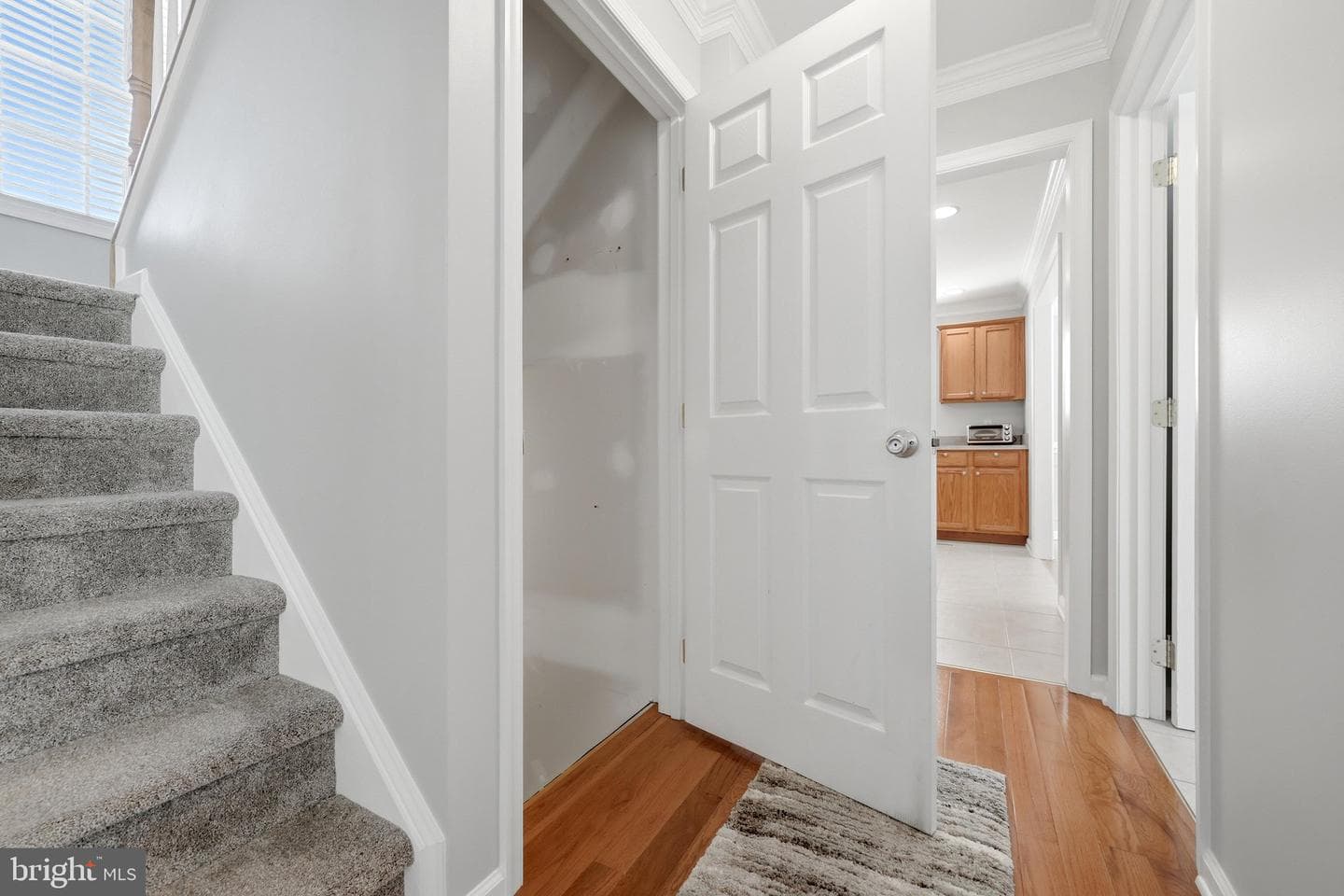 224 Shannon Court photo 40