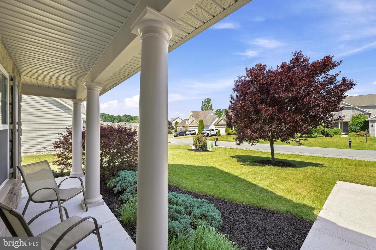 224 Shannon Court photo 6