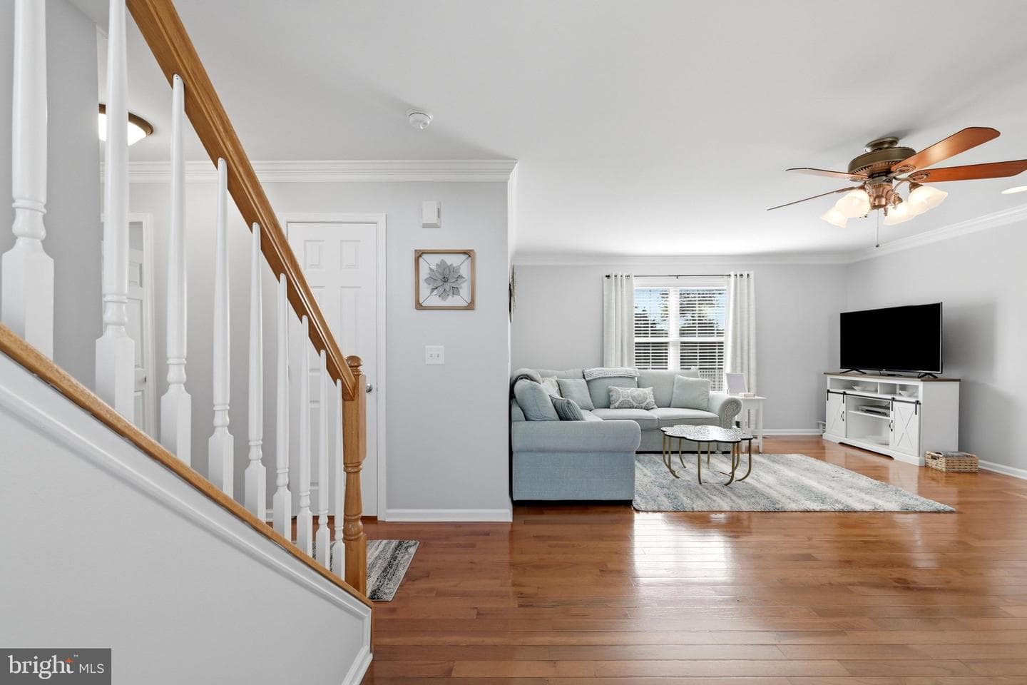 224 Shannon Court photo 9