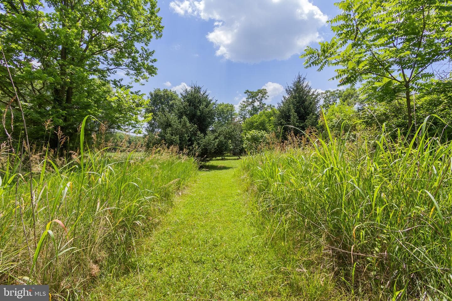 1121 Hollida Lane photo 56