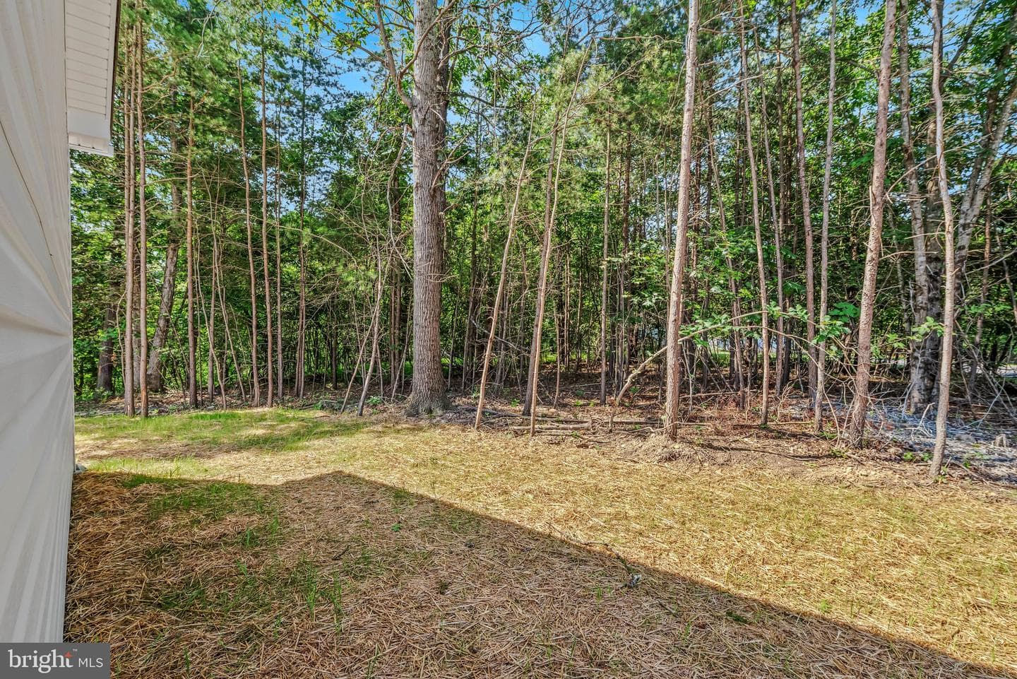 123 Jenkins Rd photo 34