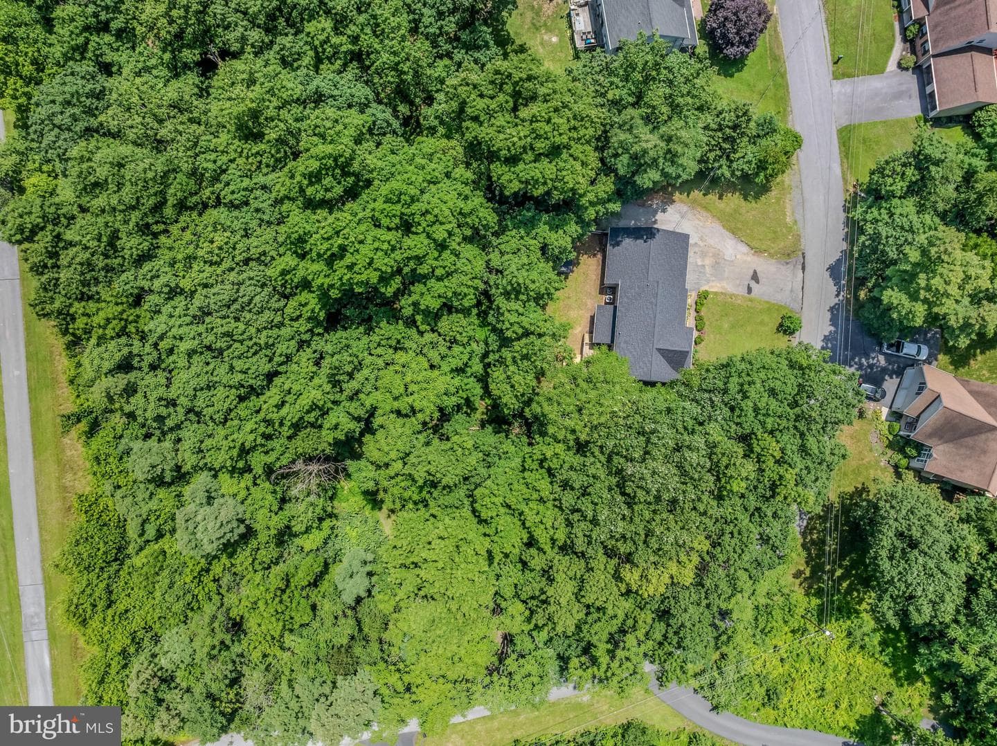 185 Tara Drive photo 48