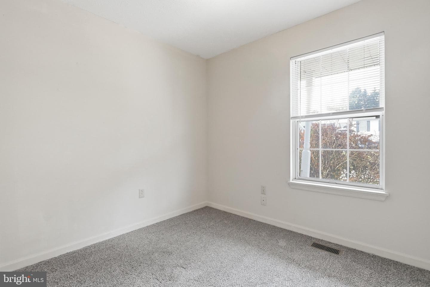 133 Wildflower Creek Drive photo 14