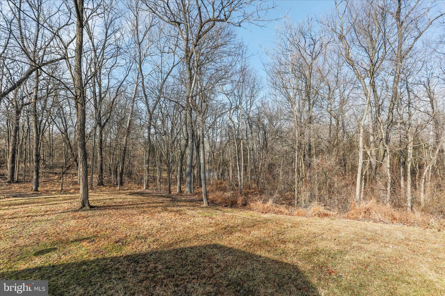 183 Byer Lane photo 35