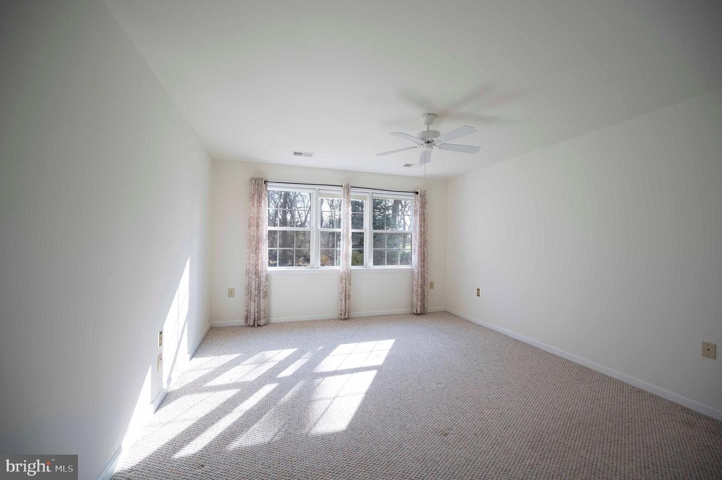 72 Greystone Drive photo 20