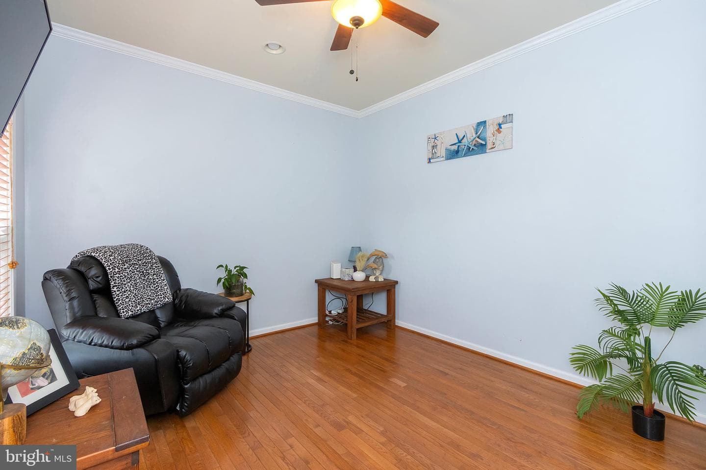 317 Stratus Dr photo 9