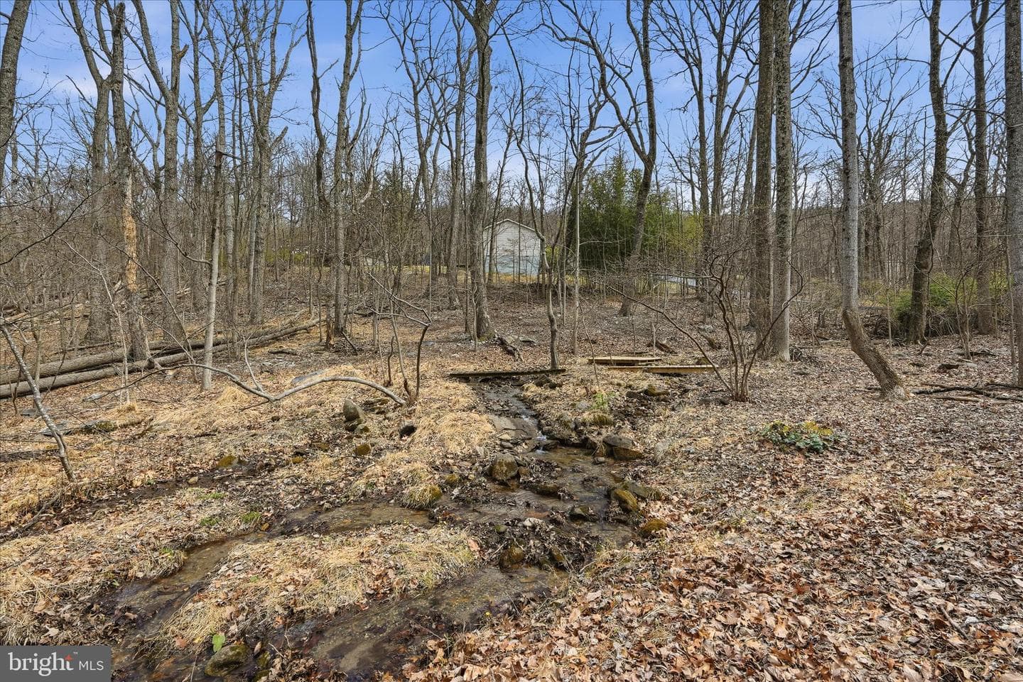 119 Cub Run Lane photo 33