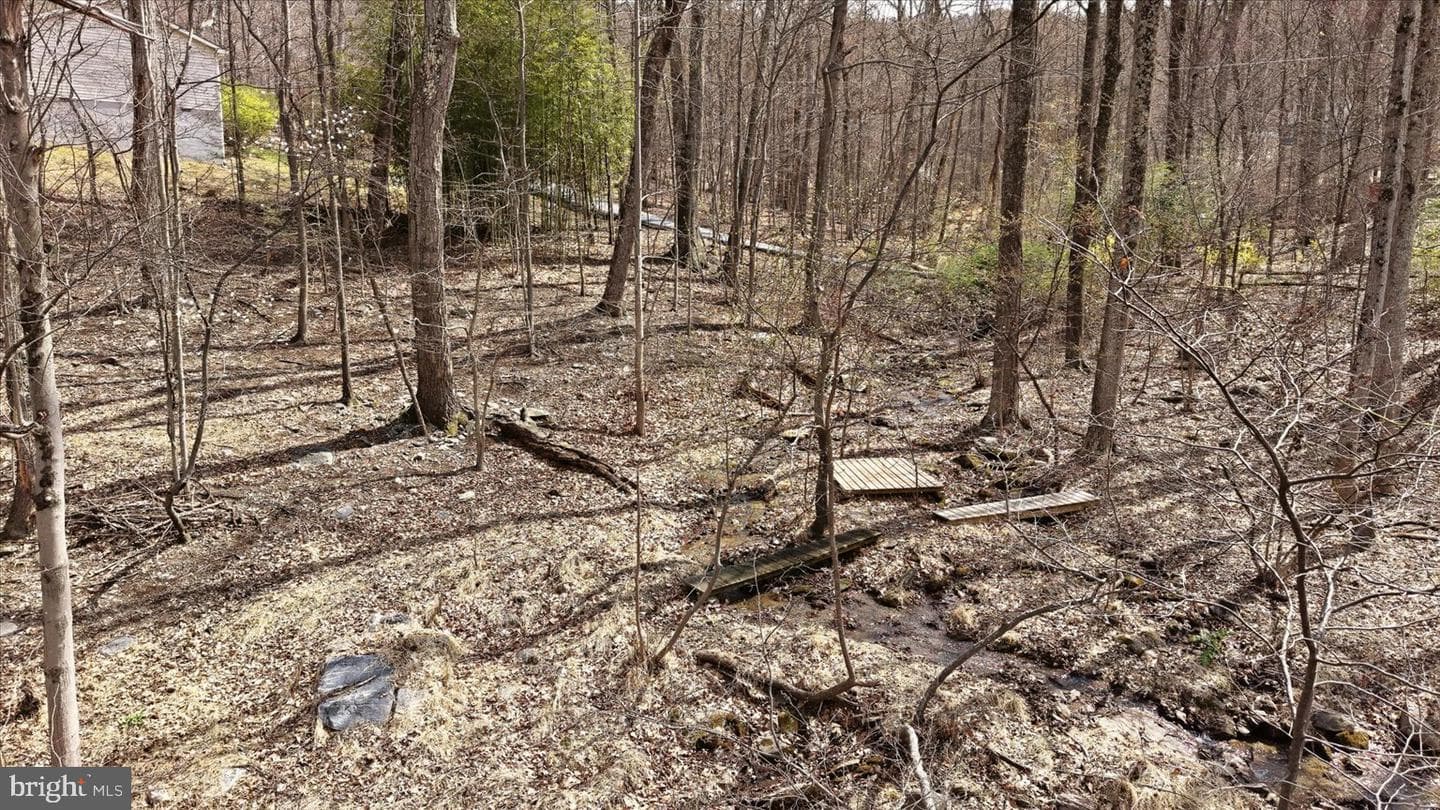 119 Cub Run Lane photo 34