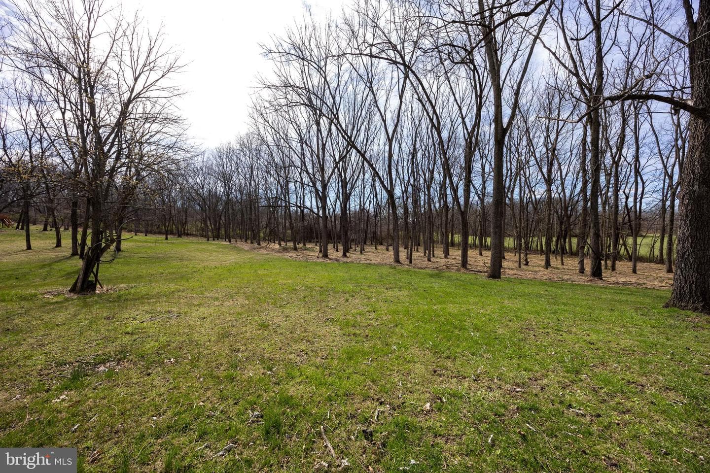 712 Morgan Grove Road photo 64