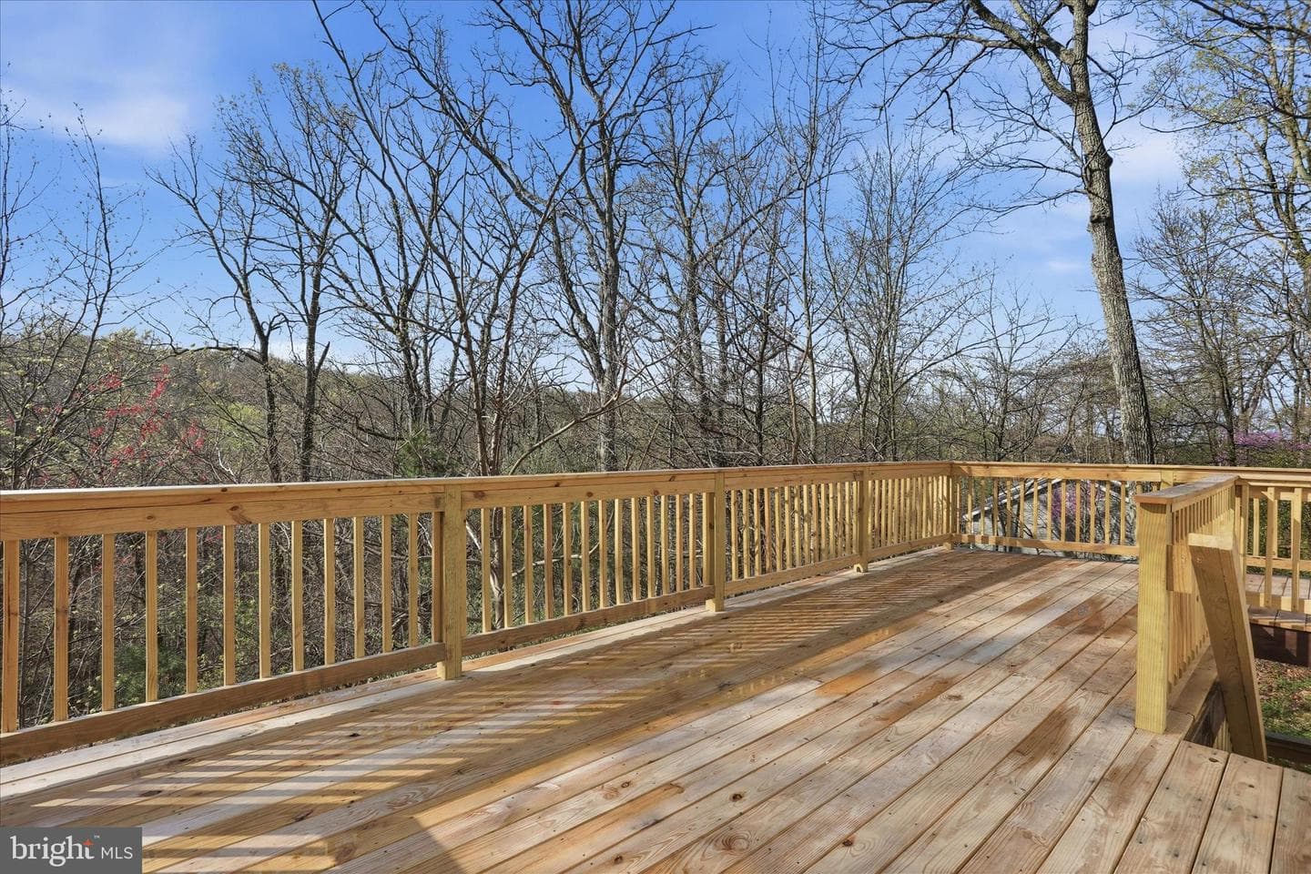 278 Red Bird Lane photo 31