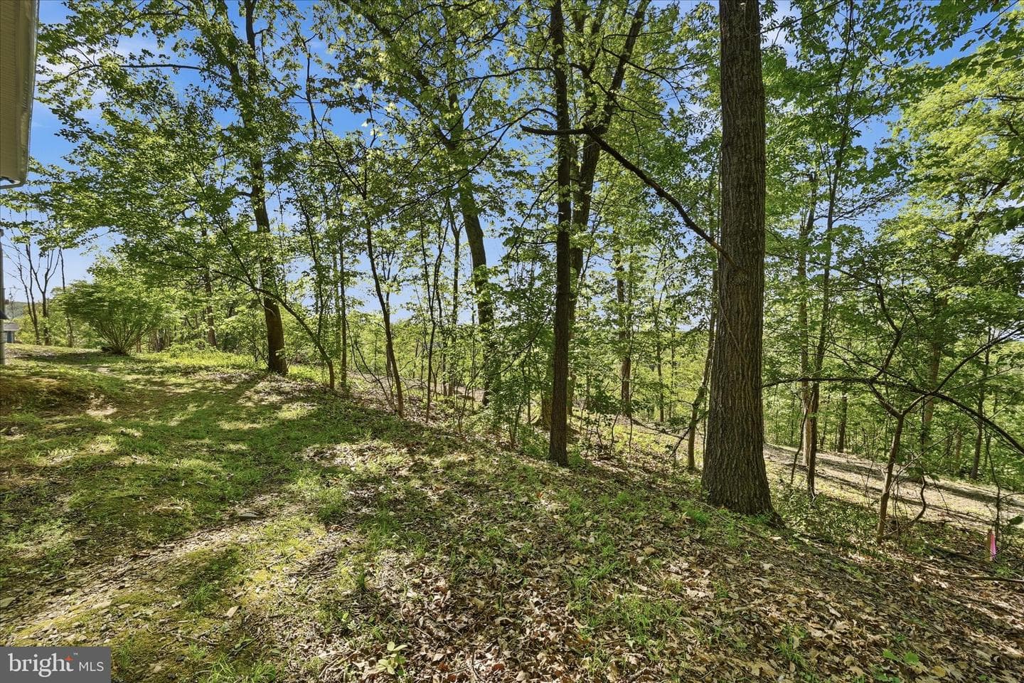 293 Red Bird Lane photo 45