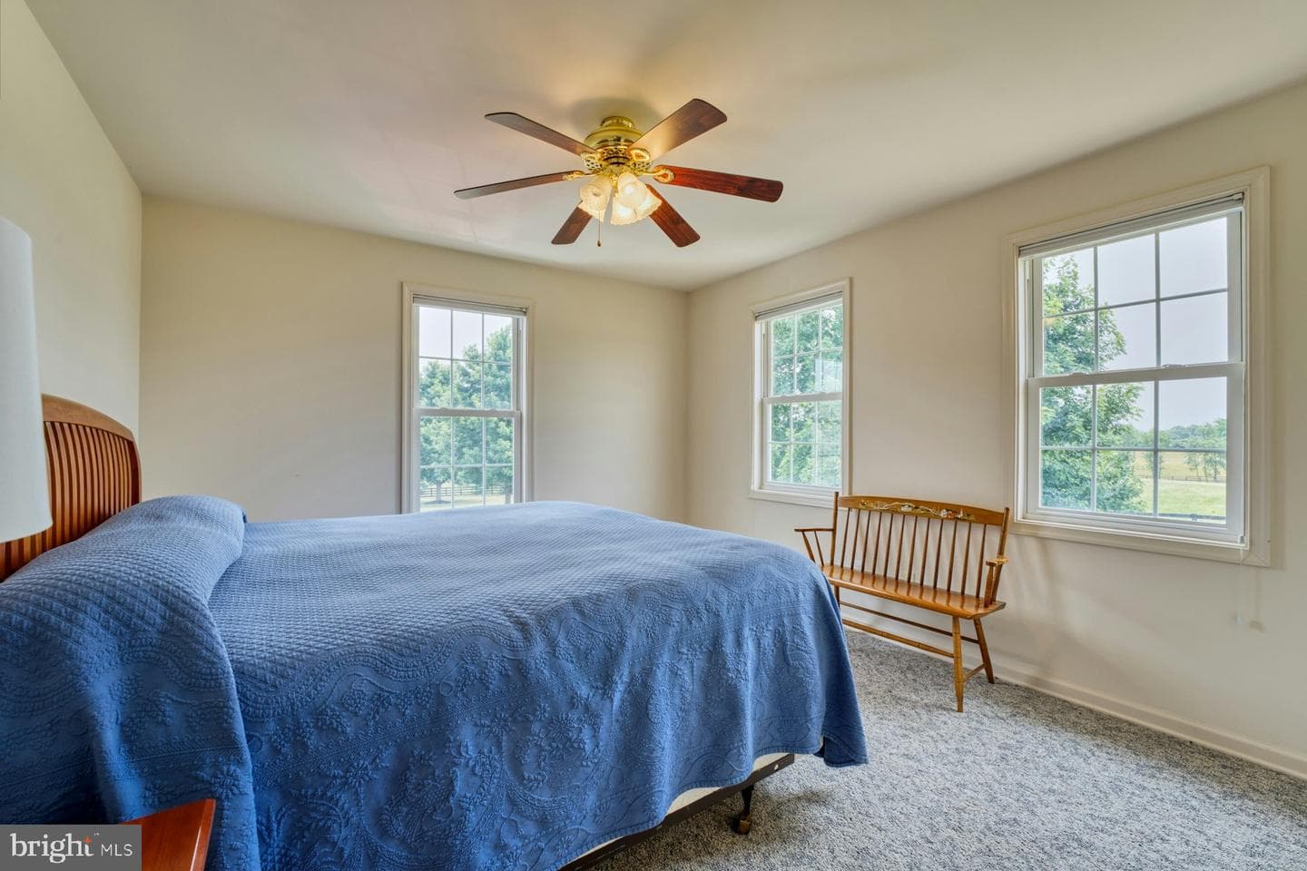 899 Earle Road photo 66