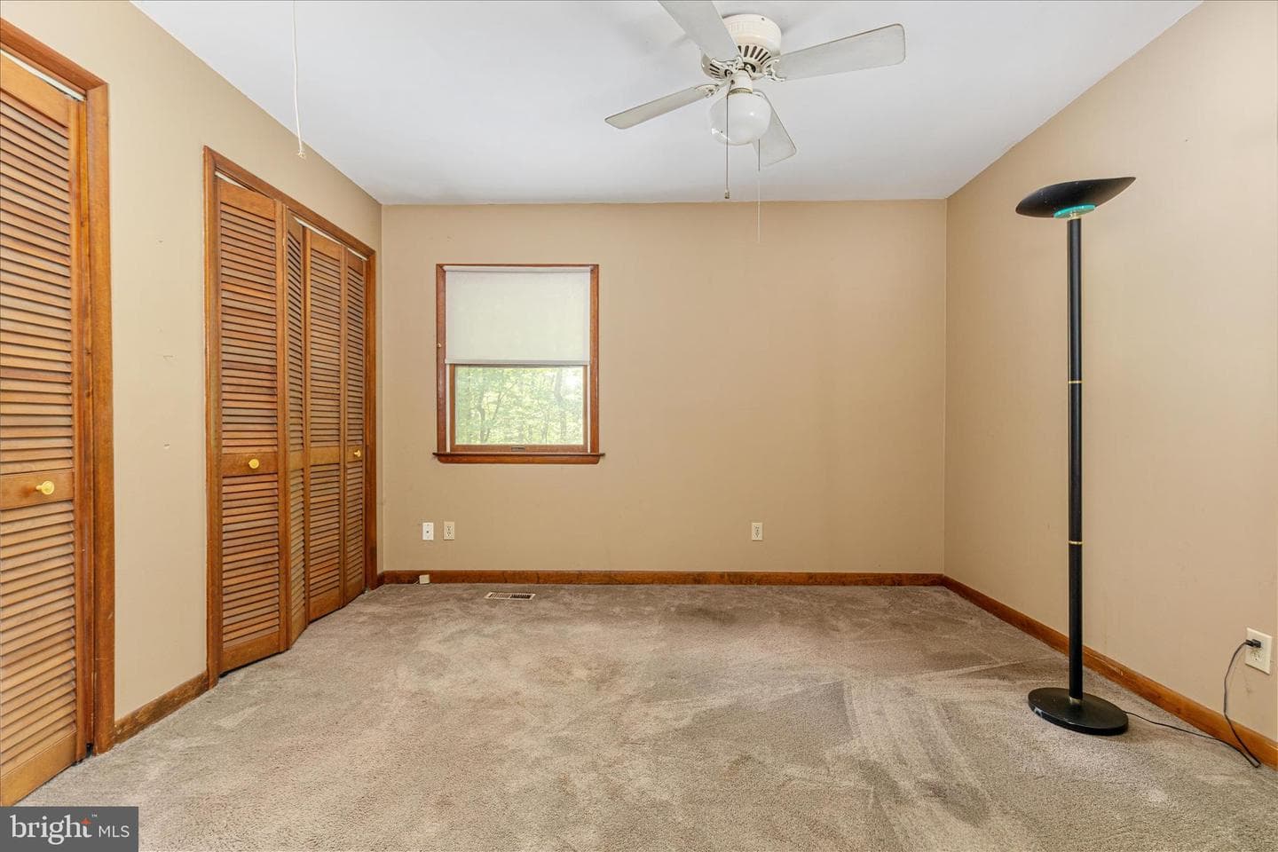 21 Chestnut Place photo 20