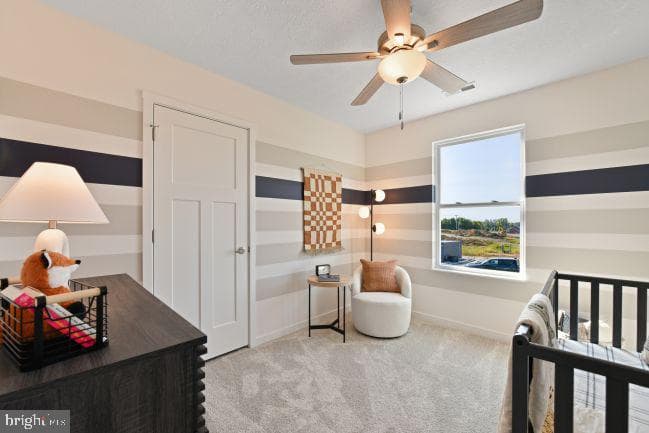 7 Thorton Avenue photo 21