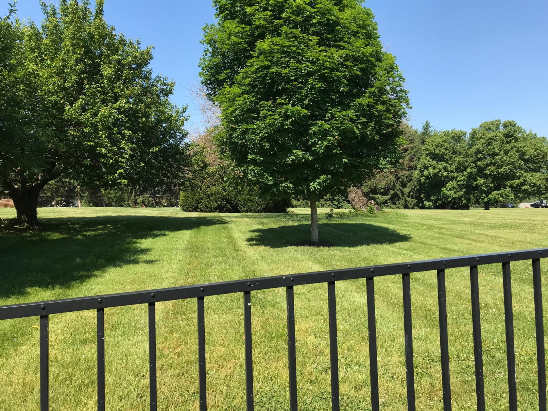 156 Uvilla Estates Drive photo 91