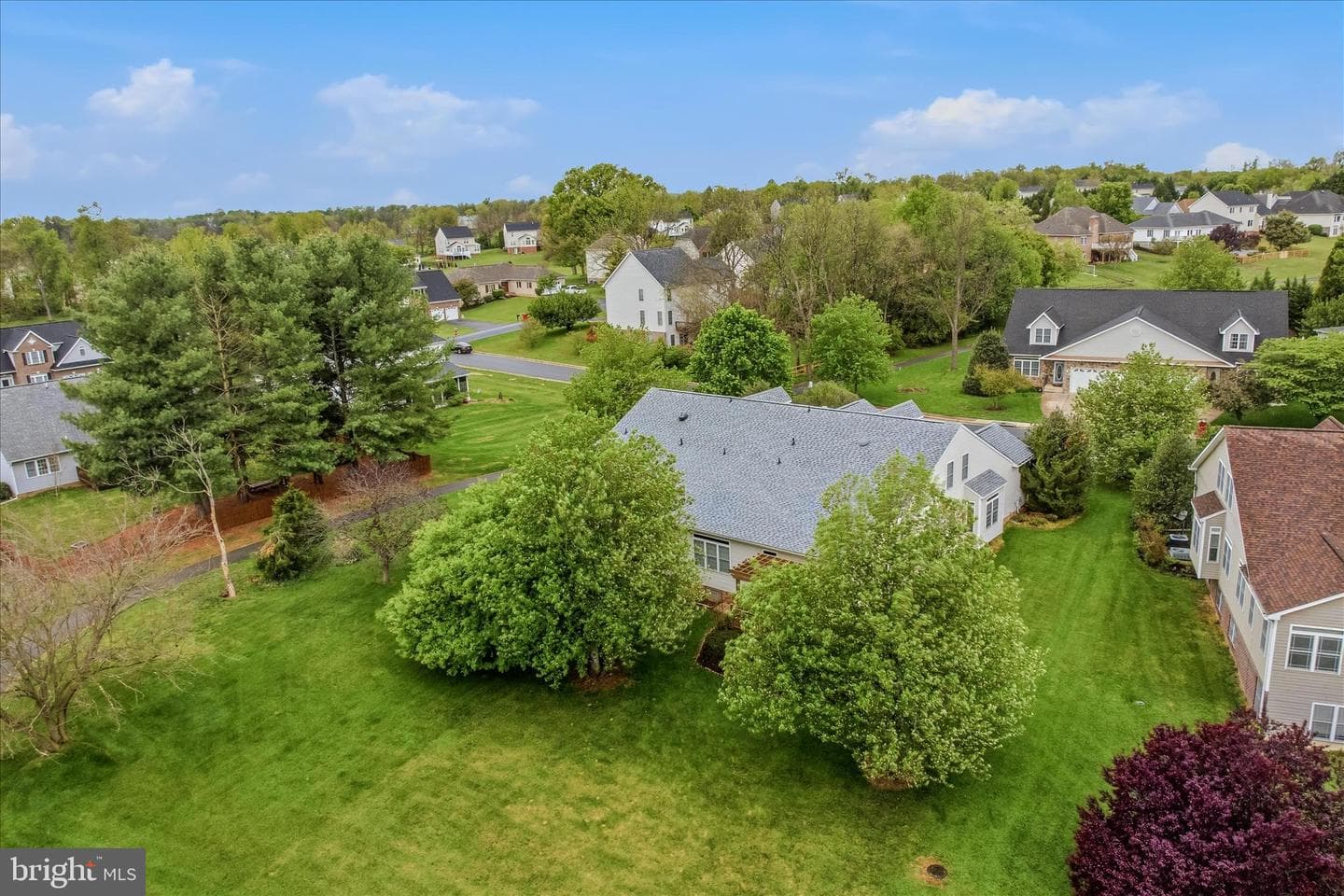 309 Brookline Drive photo 35