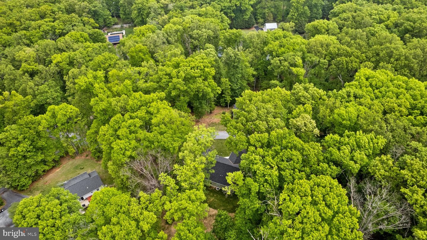 900 Bunny Lane photo 24