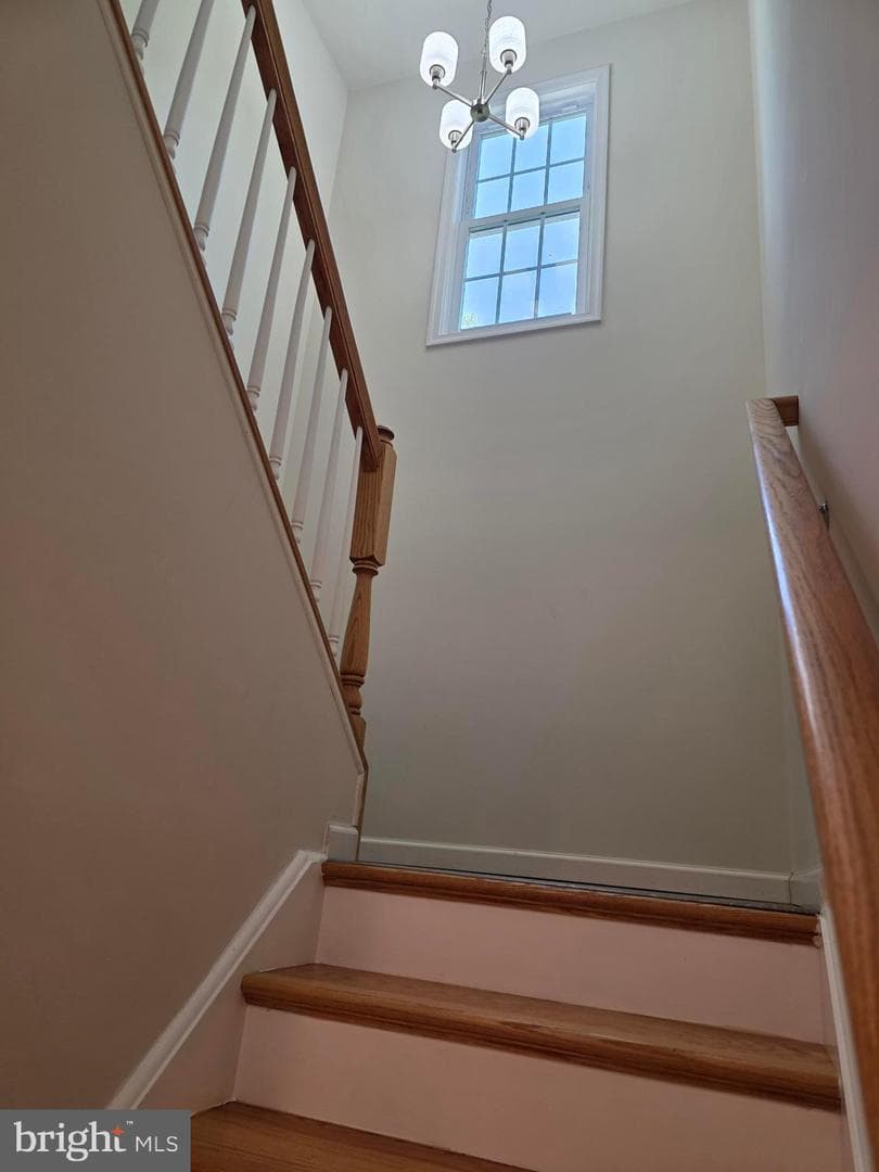 167 Hyde Park Lane photo 20