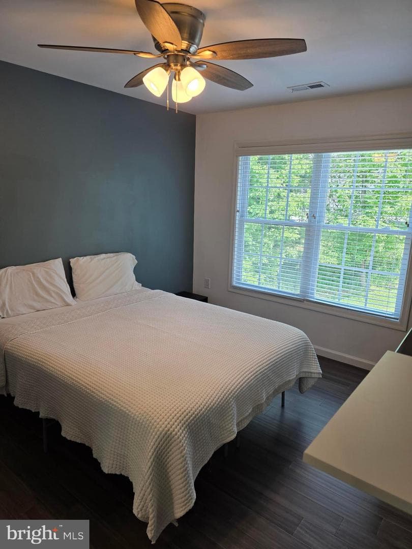 167 Hyde Park Lane photo 21