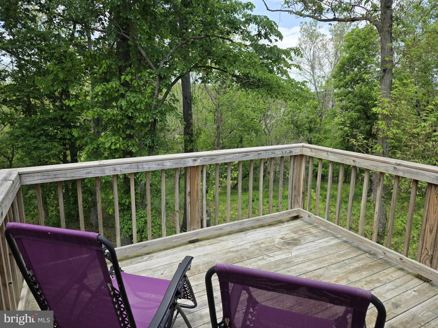 167 Hyde Park Lane photo 27