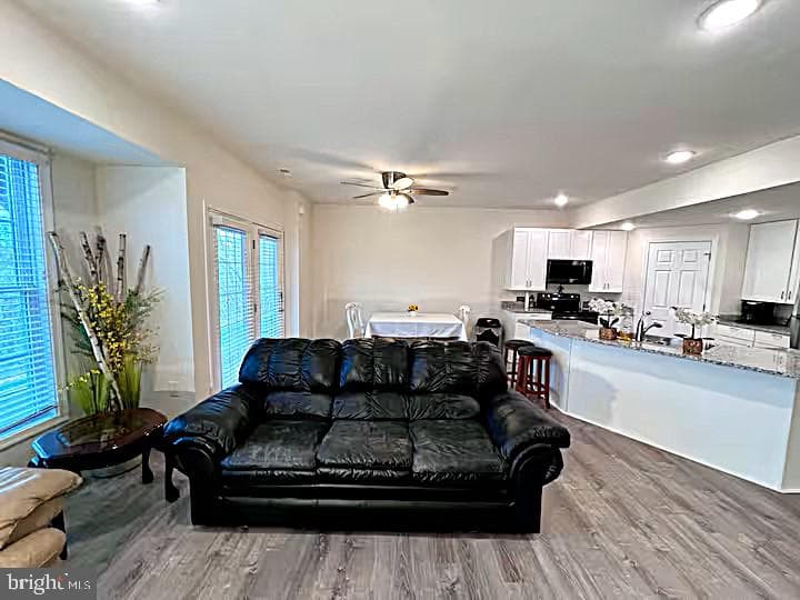 167 Hyde Park Lane photo 36