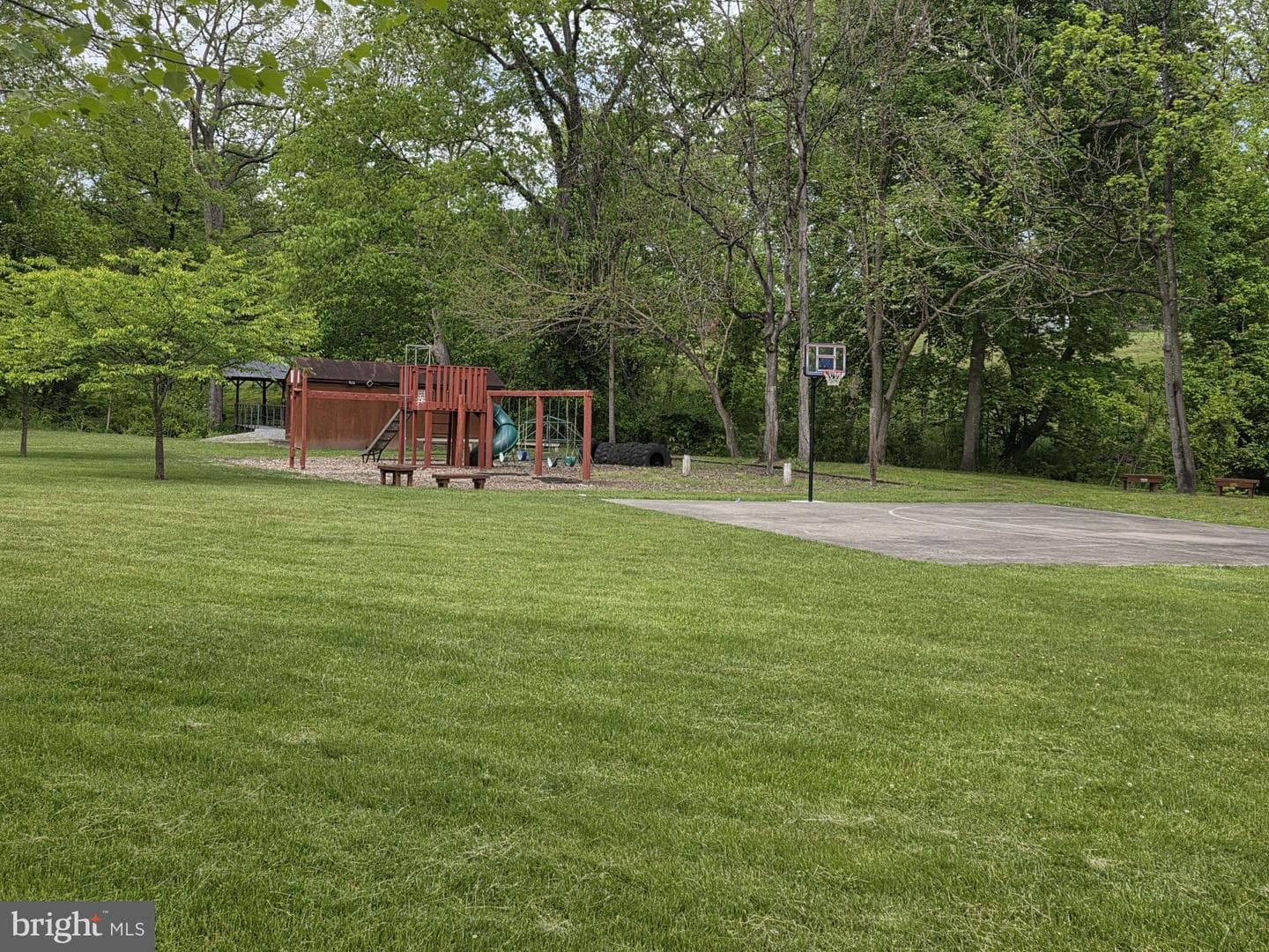 167 Hyde Park Lane photo 52