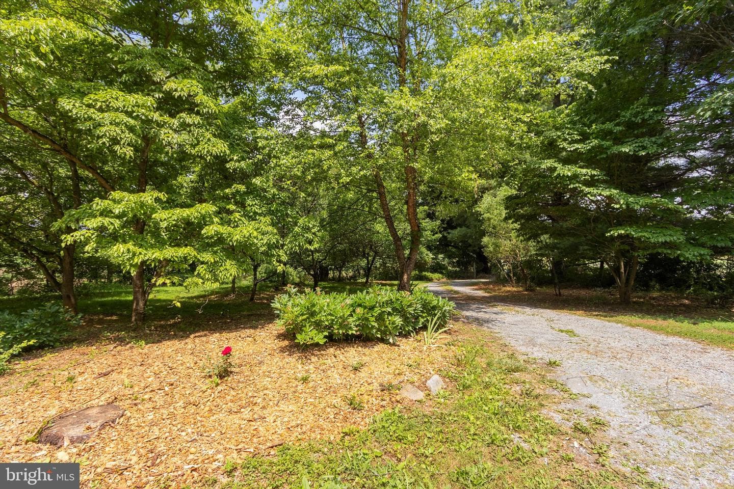 561 Billmyer Mill Road photo 35