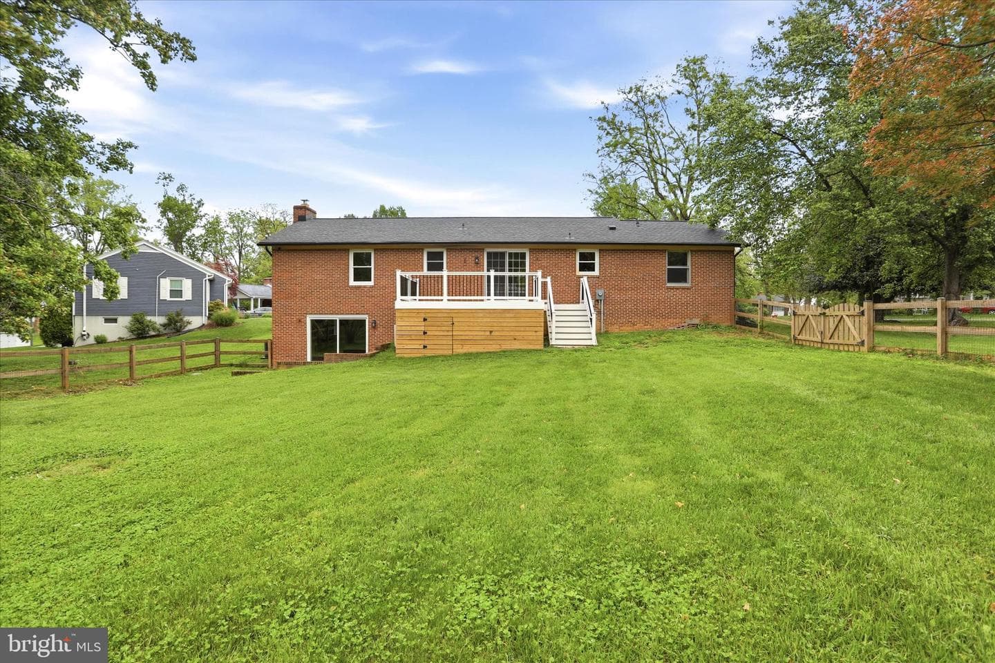 17 Friendship photo 41