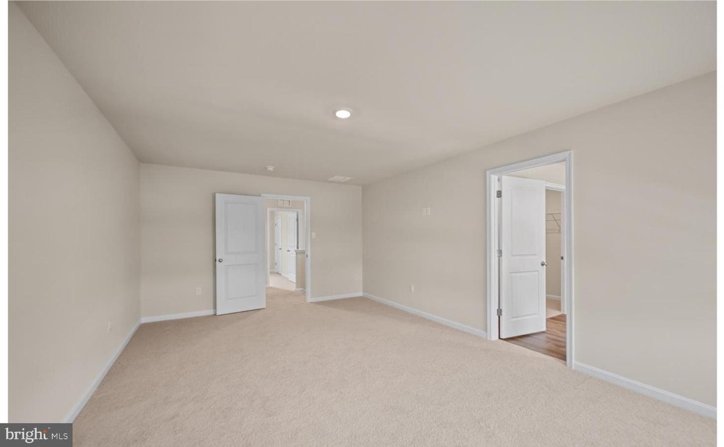 313 Atkinson Street photo 30