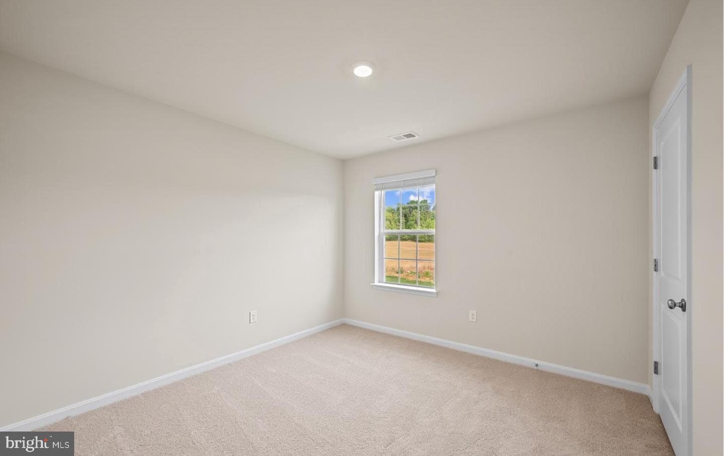 313 Atkinson Street photo 36