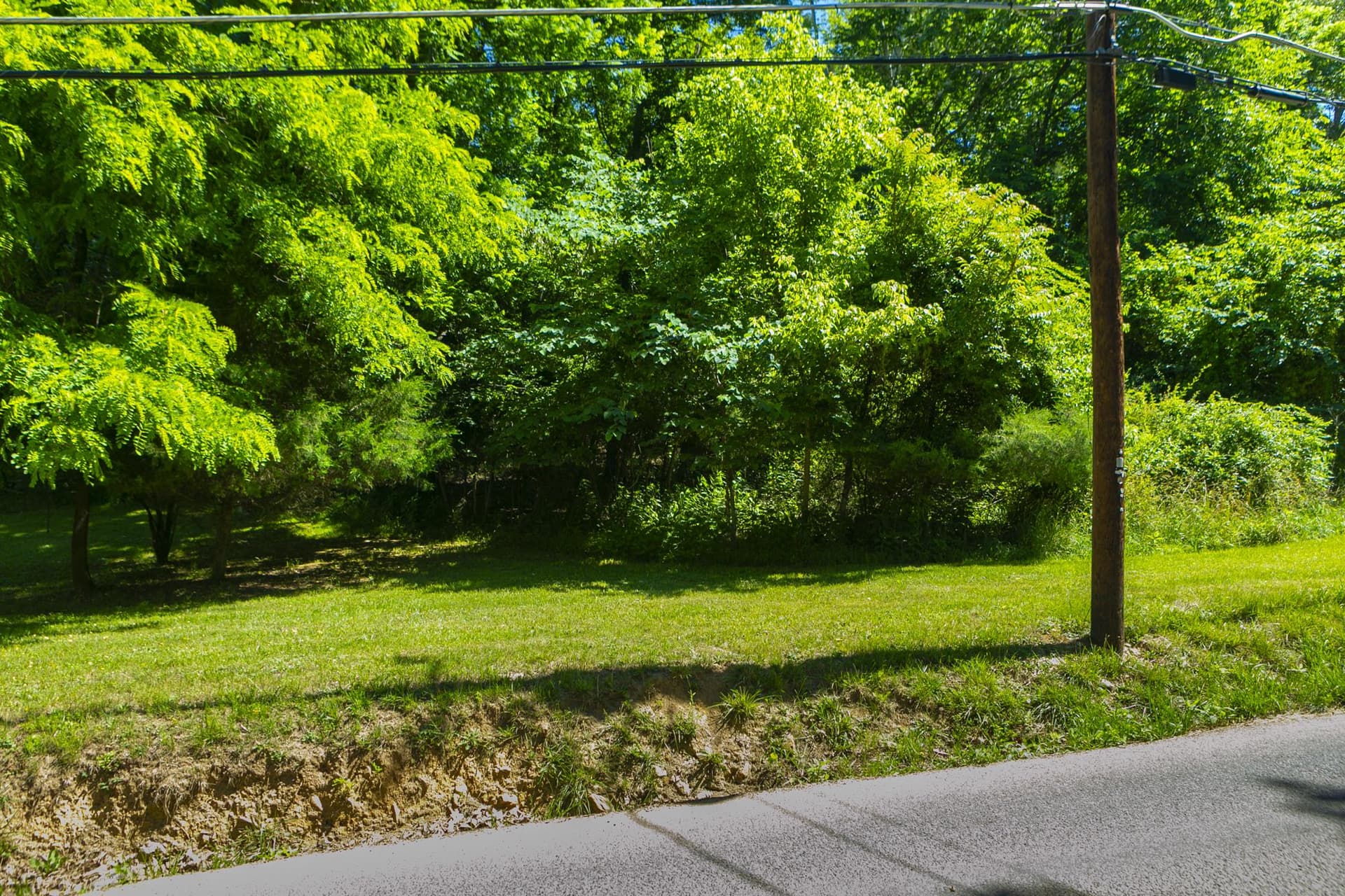 148 Signal Hill Lane photo 45
