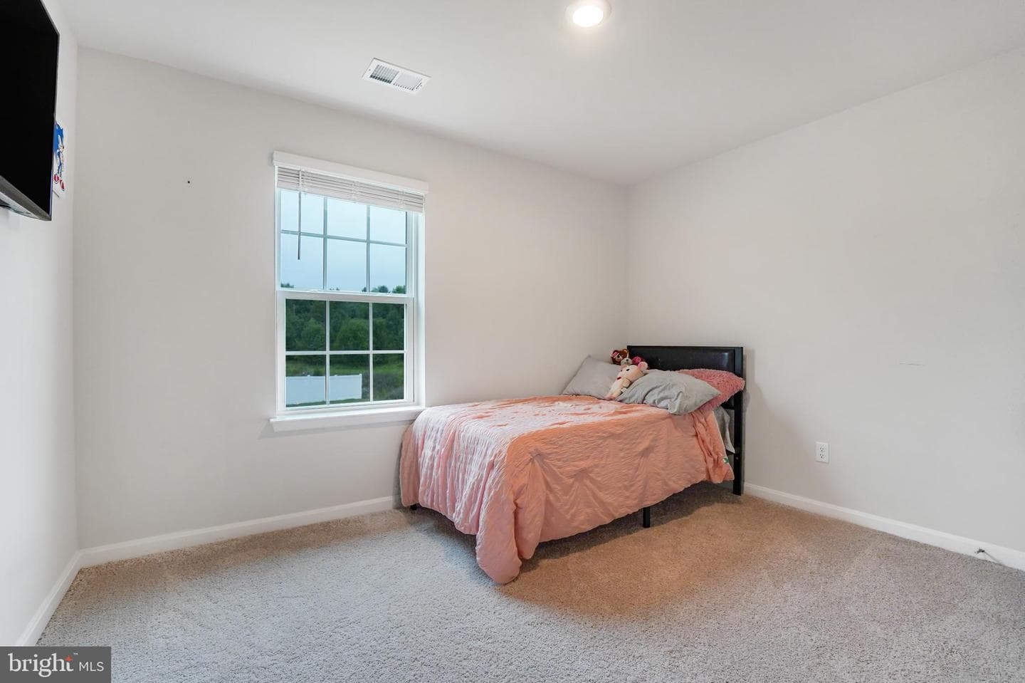 115 Bell Tower Lane photo 40