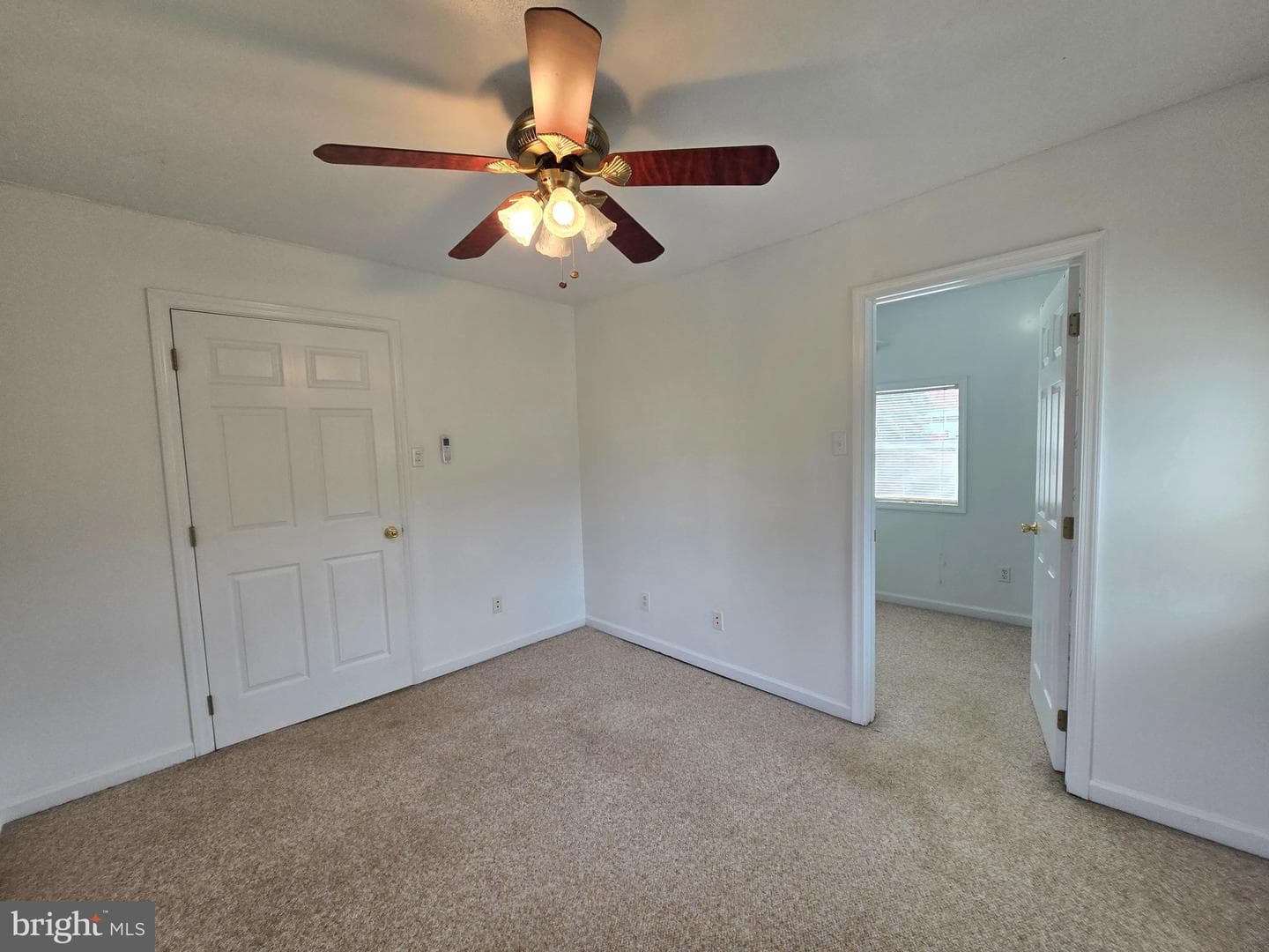 240 Ewing Street photo 19