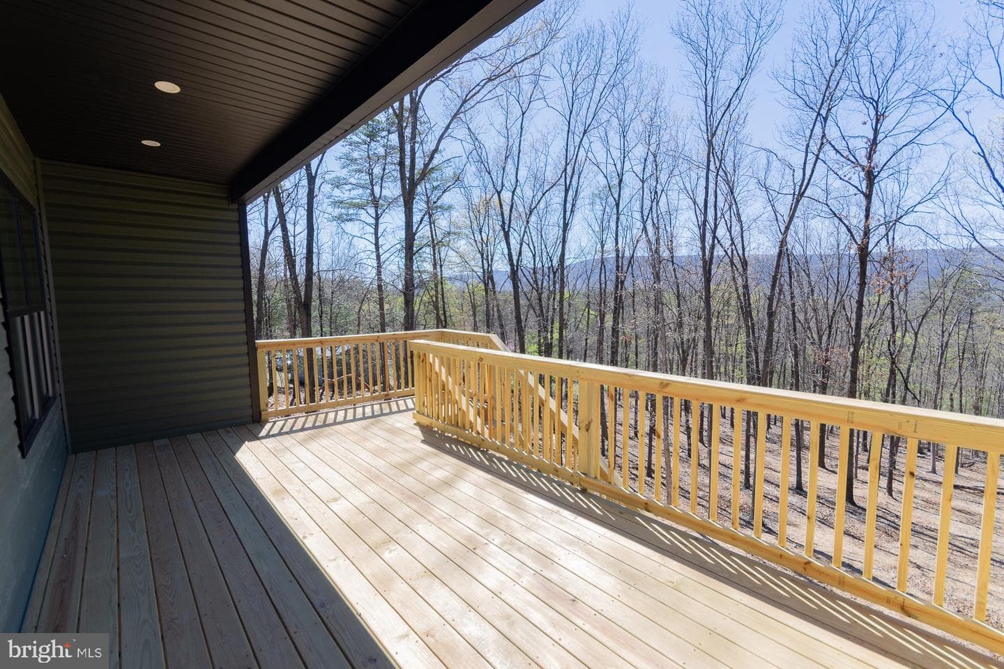 4352 Timber Ridge Road photo 11