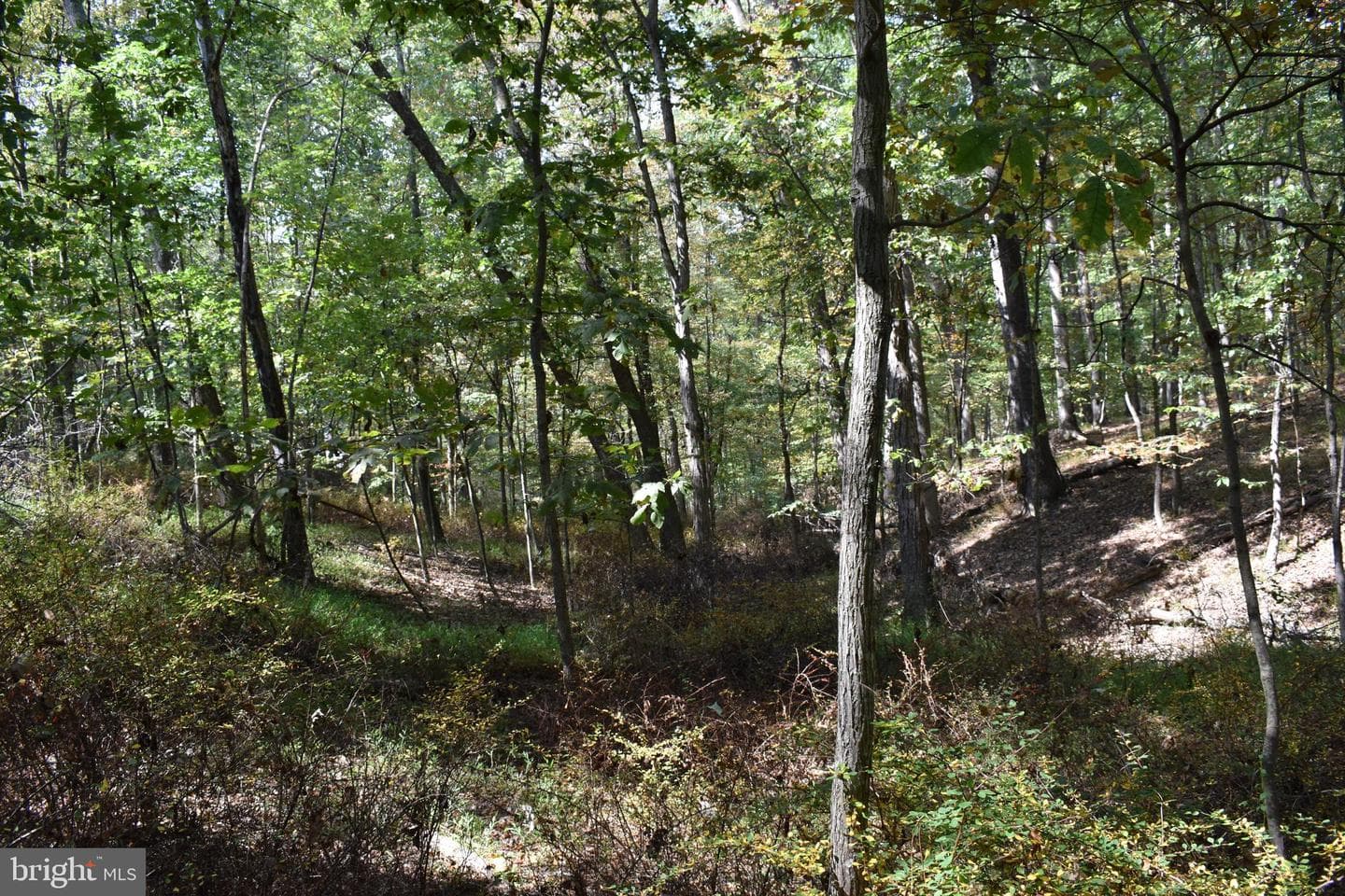 19 Mountain Laurel Drive photo 42