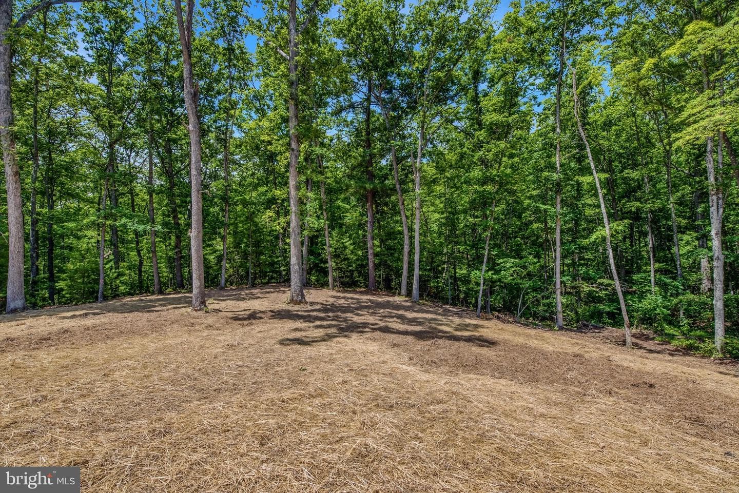 523 Oak Hill Road photo 36