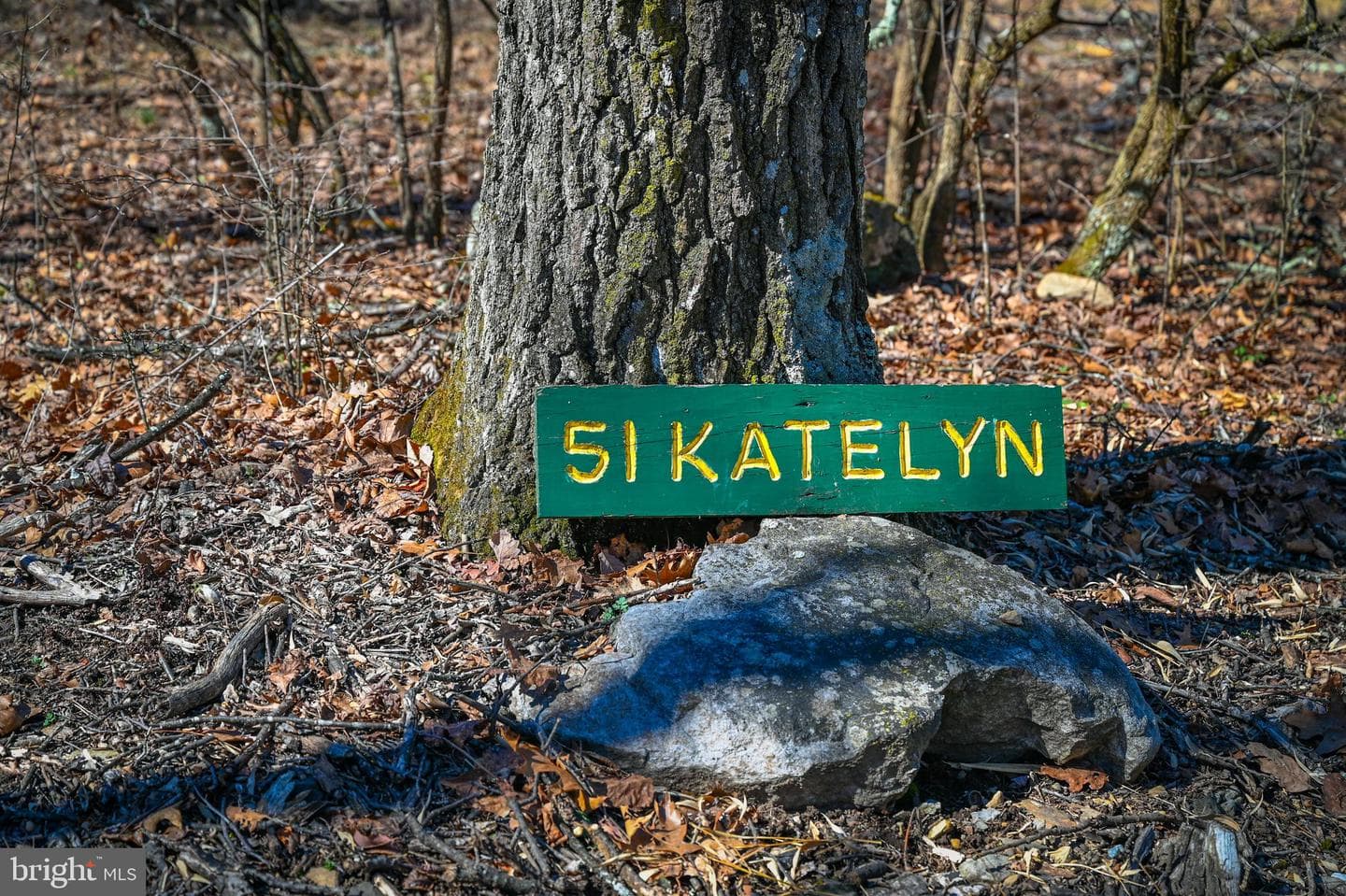 51 Katelyn Lane photo 4