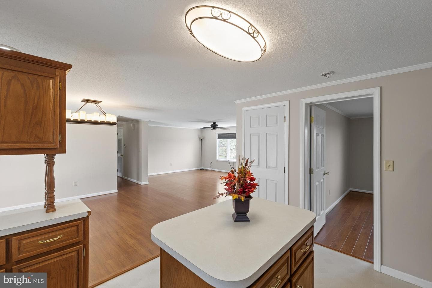 25 Nelson Lane photo 13