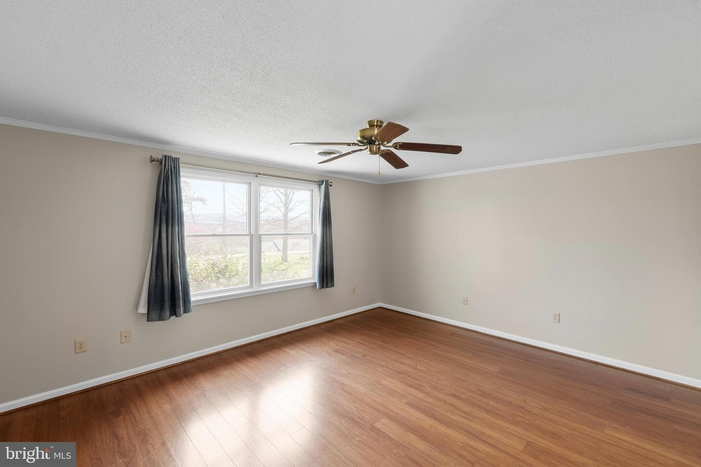 25 Nelson Lane photo 14