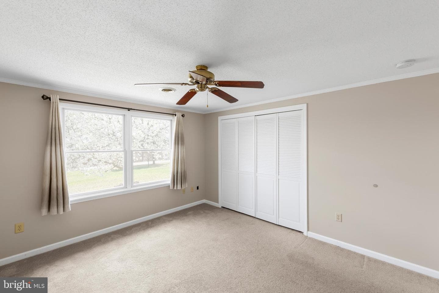 25 Nelson Lane photo 19