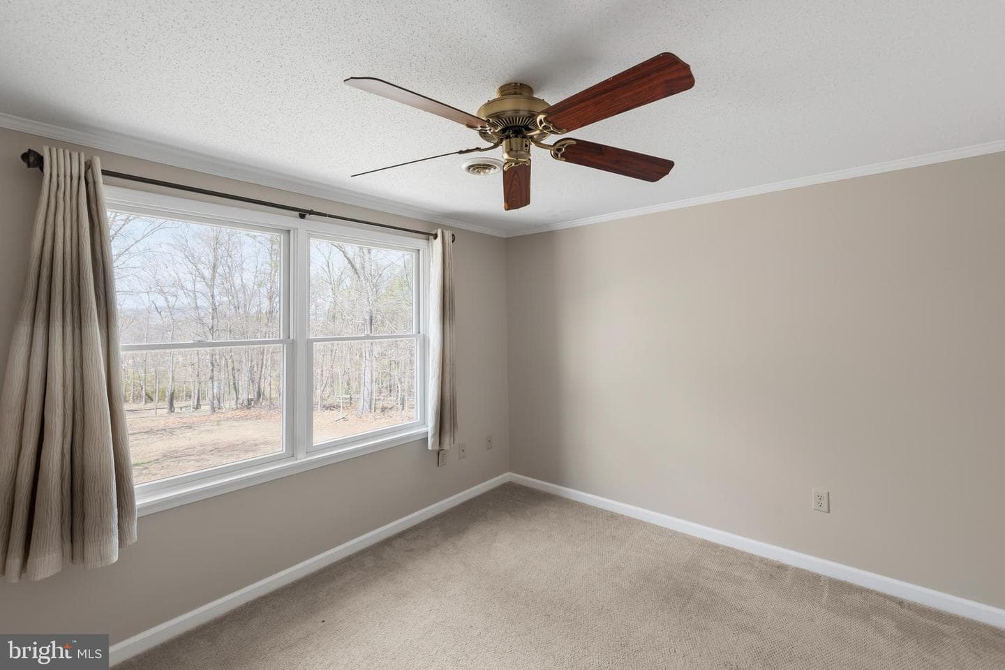 25 Nelson Lane photo 20