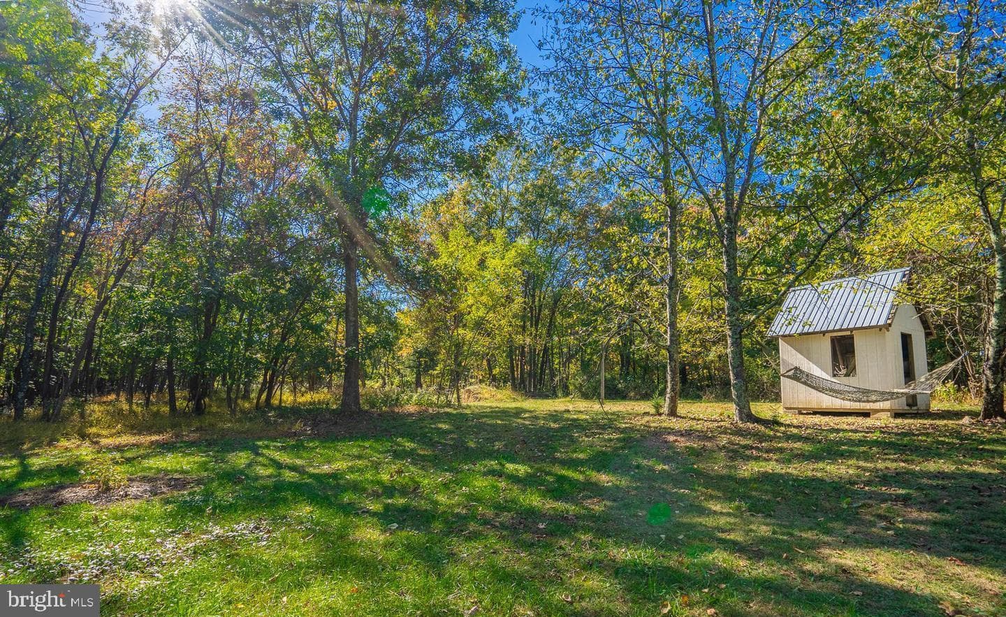 295 Greenwoods Drive photo 6