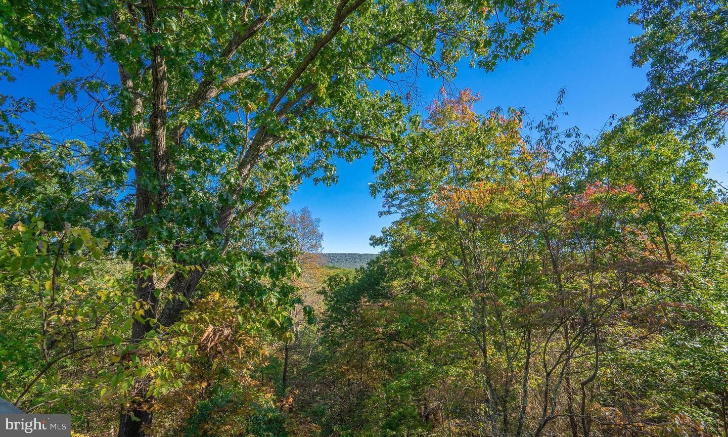 295 Greenwoods Drive photo 9