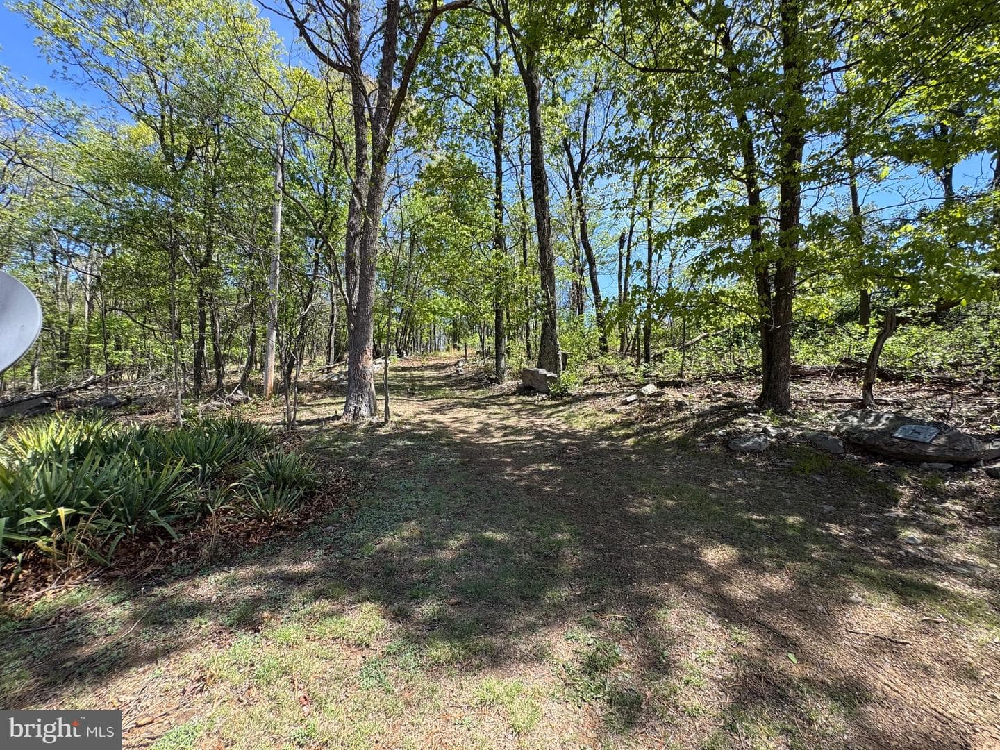 457 Blumb Lane photo 37