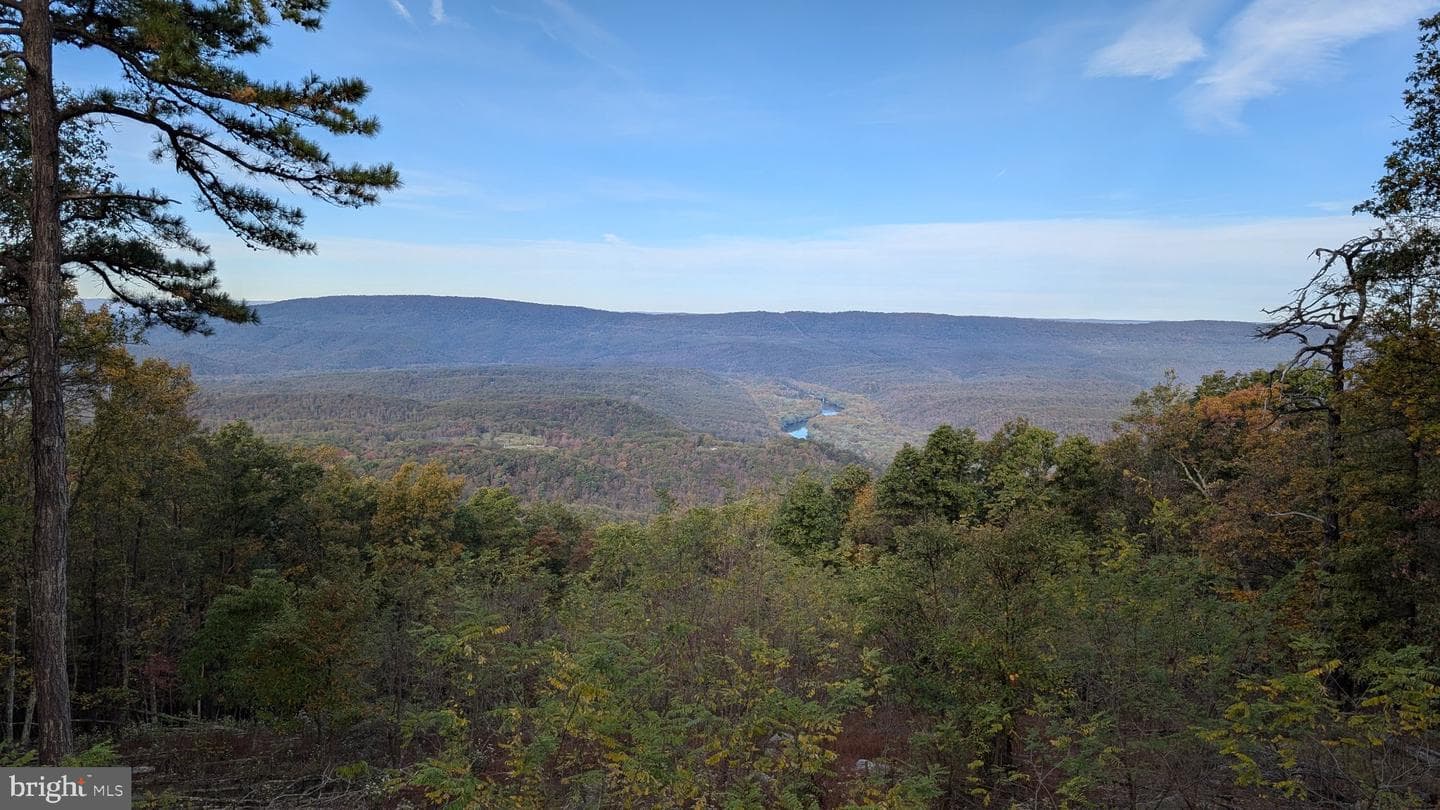 457 Blumb Lane photo 41