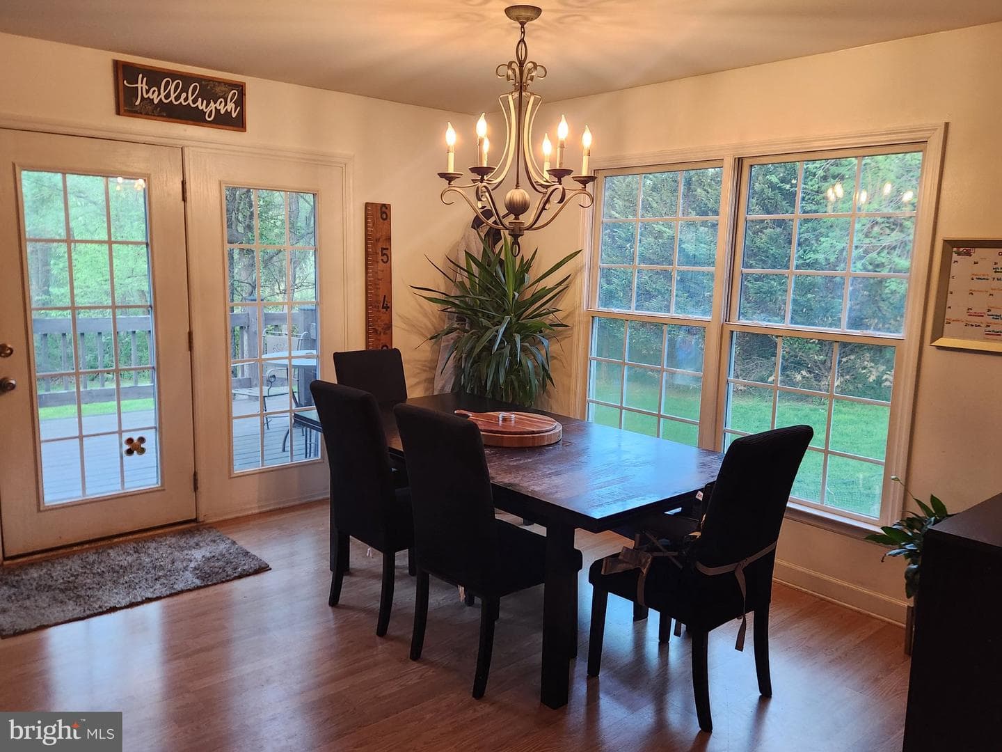 81 Cannon Drive photo 38