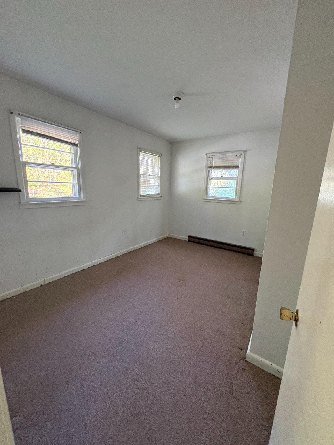 119 Radio Station Lane photo 9