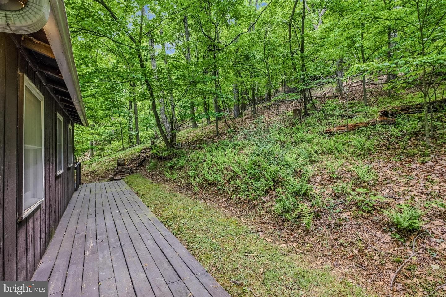 98 Ore Trail photo 12