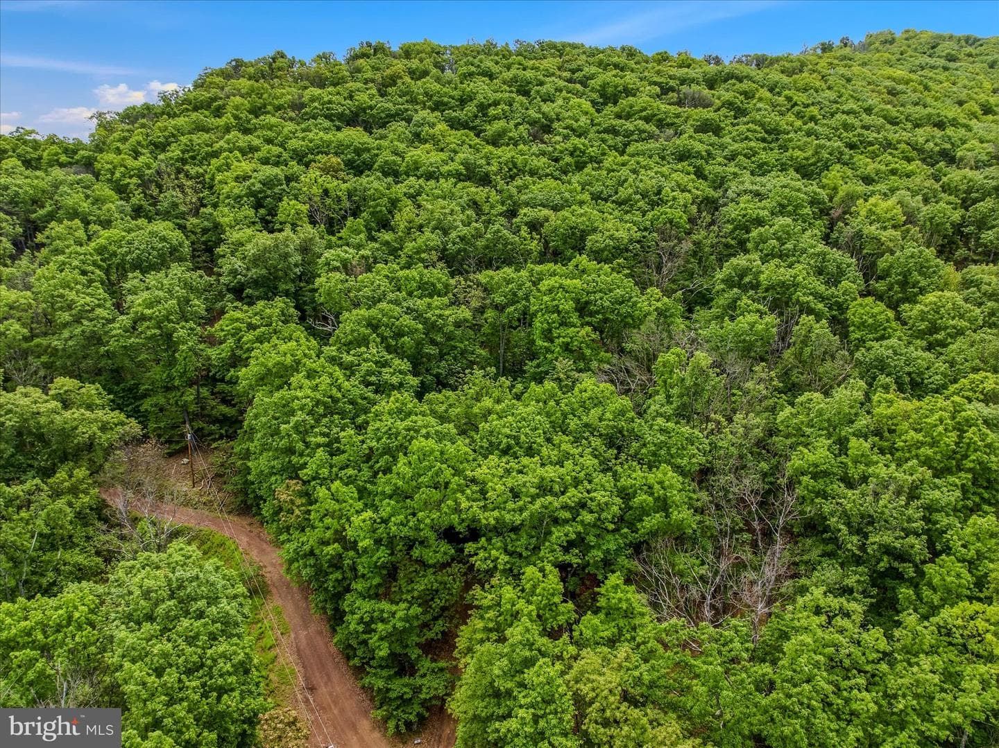 98 Ore Trail photo 37