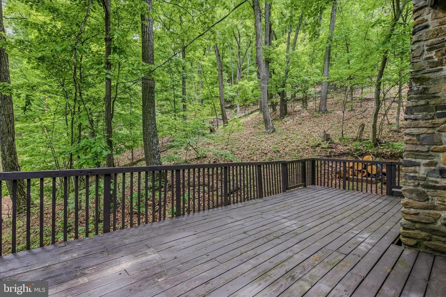 98 Ore Trail photo 8
